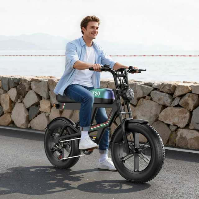 ASKGO T20 Electric Bike 48V 20AH