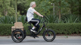 Onesport OT30 Pro Electric Bike