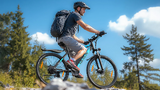 VARUN M27-1 Electric Bike 250W