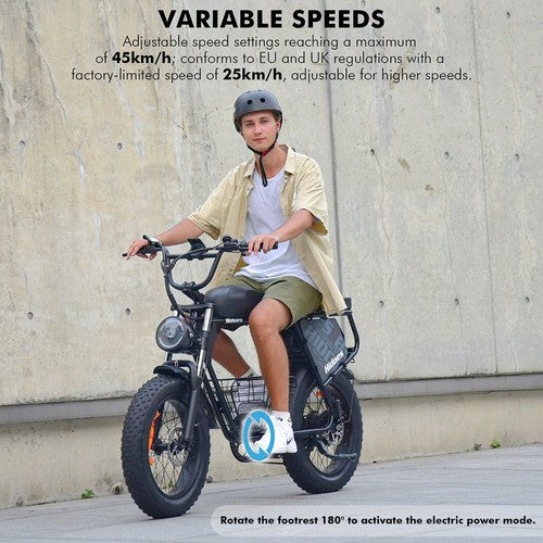 Hidoes B9 Electric Bike, 750W Motor, 48V 18.2Ah+15.6Ah Dual Battery
