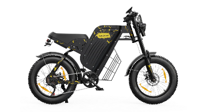 VARUN X-PLORER RAPTOR electric bike 48V 20.8A