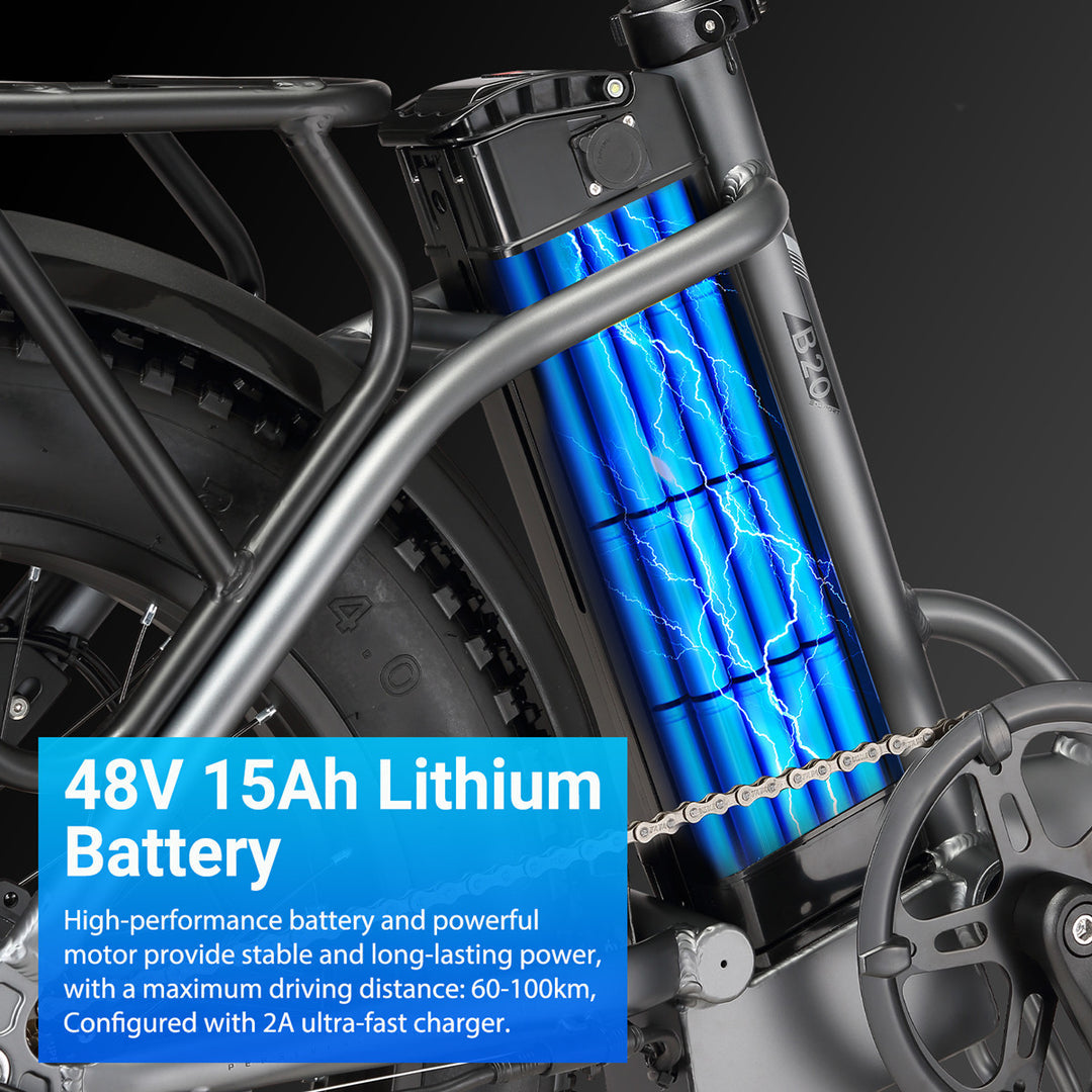 Sinohon B20 Folding Electric Bike