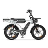 PIXAR® M9 Retro Electric Bike 2× 48 V17.5Ah