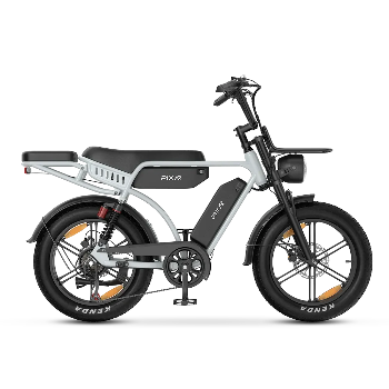 PIXAR® M9 Retro Electric Bike 2× 48 V17.5Ah
