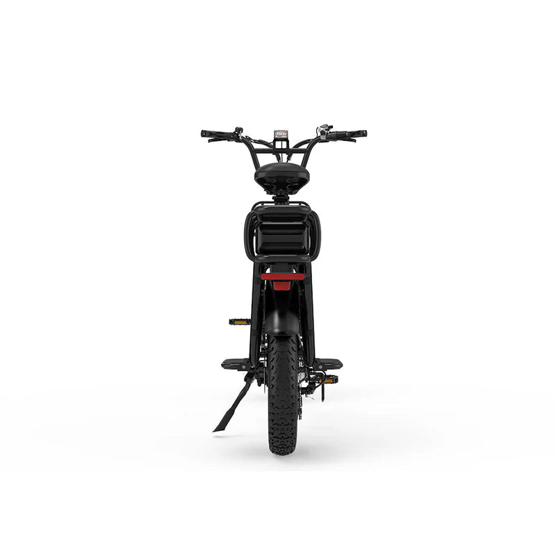 KOOLUX X8 FAT TYRE CARGO Electric Bike 64Ah