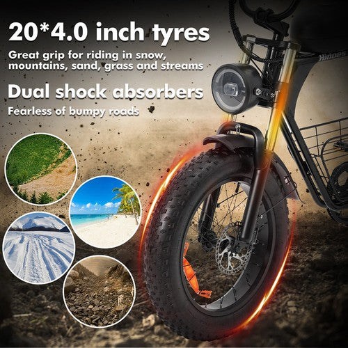 Hidoes B9 Electric Bike, 750W Motor, 48V 18.2Ah+15.6Ah Dual Battery