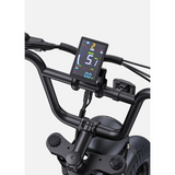 ENGWE M1 electric bike 15.6Ah