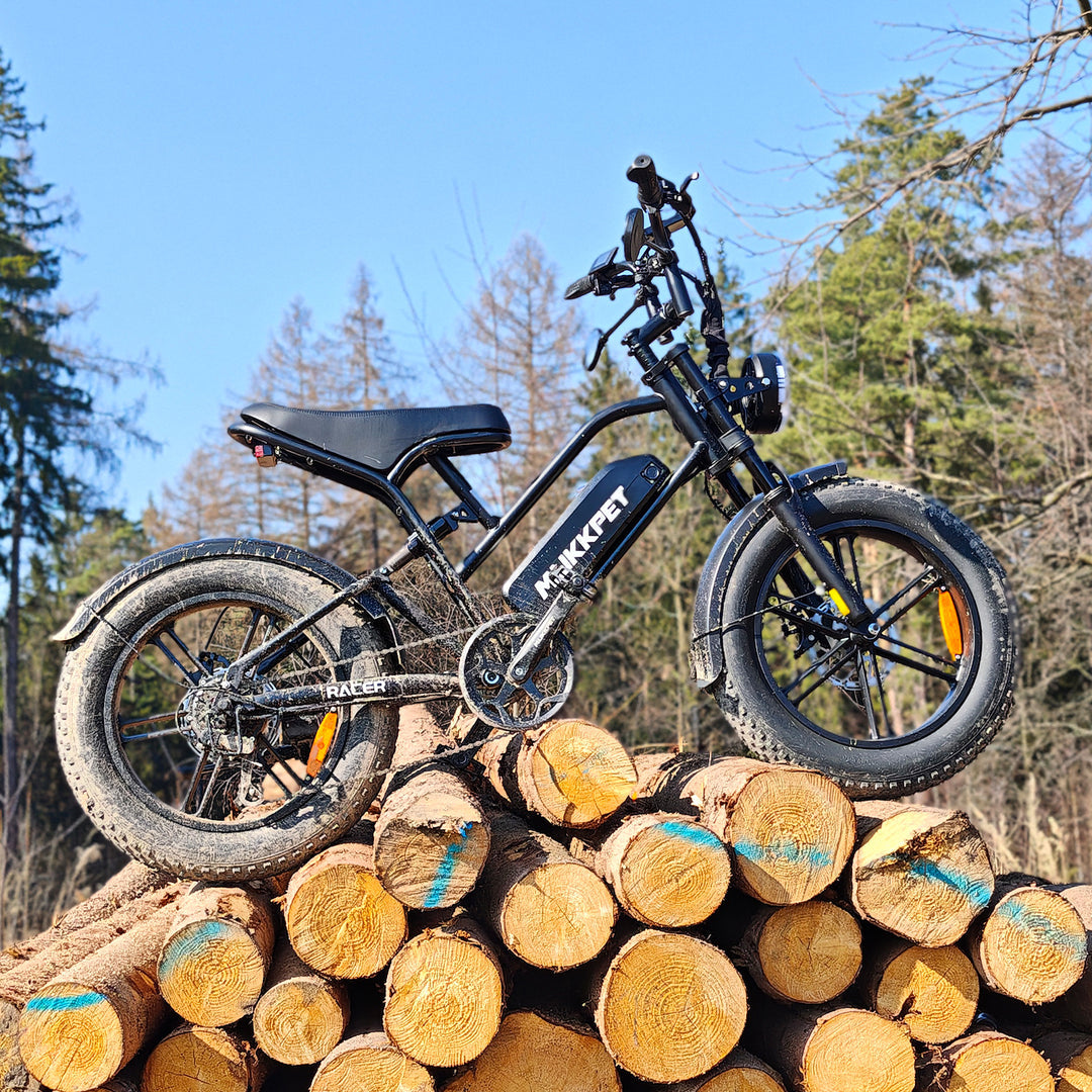 MUKKPET Racer Electric Bike 18Ah