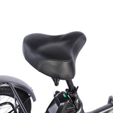 Fafrees F20 Mate Electric Bike 21Ah