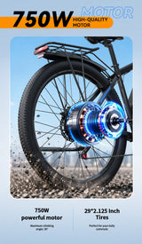 DUOTTS C29L Electric Bike 2x batteries