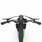 Apefox RH20 Electric Bike  500W*2