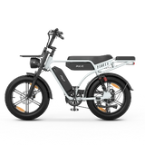 PIXAR® M9 Retro Electric Bike 2× 48 V17.5Ah