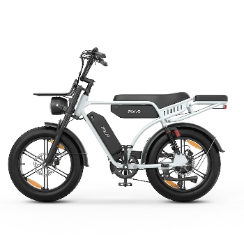 PIXAR® M9 Retro Electric Bike 2× 48 V17.5Ah