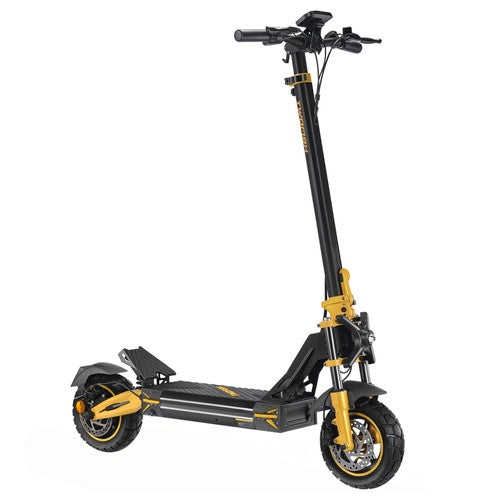 TWOFISH V2 MAX Electric Scooter, 800W Motor, 48V 20Ah