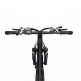 DUOTTS C29L Electric Bike 2x batteries