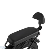 Rattan LF Pro Electric Bike 250W