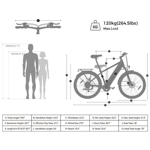 Foride Roamer 1 Step-over Electric Bike, 250W Motor, 36V 13Ah