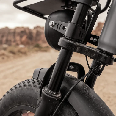 PIXAR® M9 Retro Electric Bike 2× 48 V17.5Ah