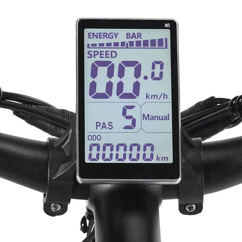 PHILODO H7Pro All-Terrain Electric Bike 1000W