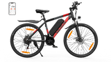 VARUN M27-1 Electric Bike 250W