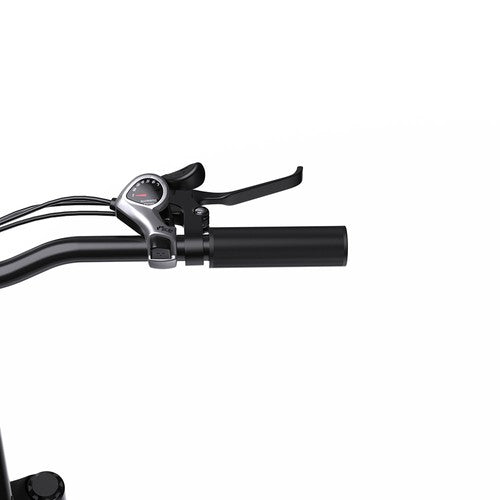 ONESPORT OT12 Electric Bike, 250W Motor, 36V 13Ah