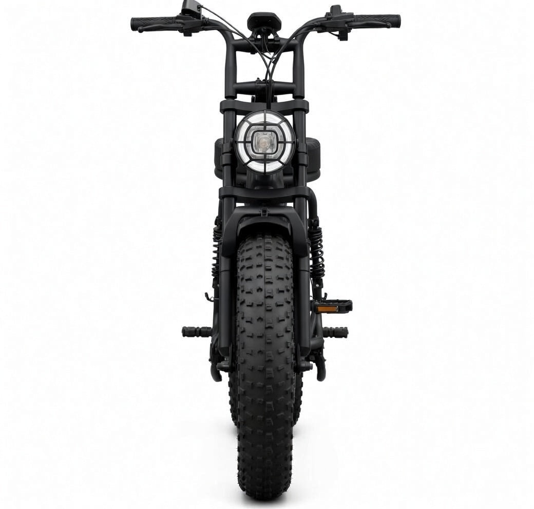 SAIBAIKE R7 Electric Bike 750W