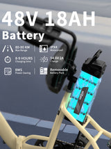 Onesport OT30 Pro Electric Bike