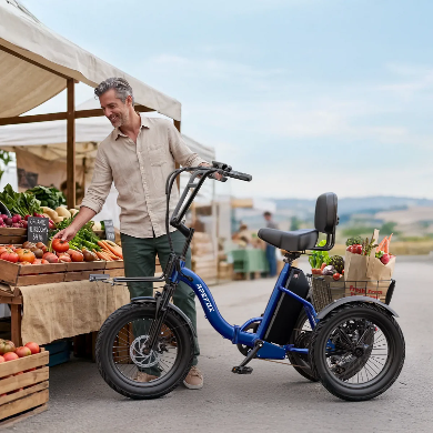 APEFOX RH30 Folding Electric Trike Bike with Rear Basket