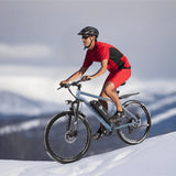 SINOHON EM200D Electric Bike 36V 10.4AH motor 500W