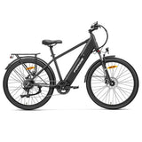 Foride Roamer 1 Step-over Electric Bike, 250W Motor, 36V 13Ah