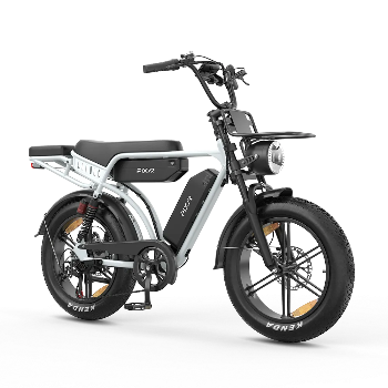 PIXAR® M9 Retro Electric Bike 2× 48 V17.5Ah