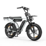 PIXAR® M9 Retro Electric Bike 2× 48 V17.5Ah
