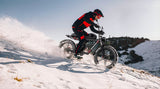 DUOTTS F20 Electric Bike 27Ah 750W