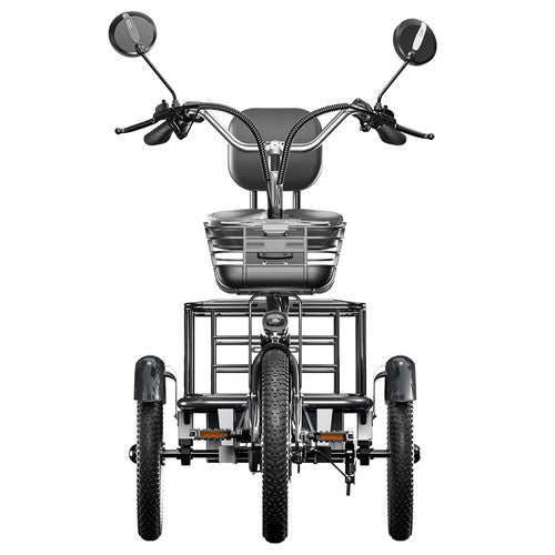 Cysum T1 Pro Electric Tricycle, 250W Motor, 48V 22Ah
