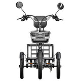 Cysum T1 Pro Electric Tricycle, 250W Motor, 48V 22Ah