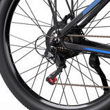 DUOTTS C29L Electric Bike 2x batteries