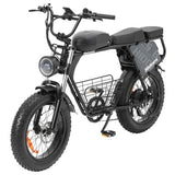 Hidoes B9 Electric Bike, 750W Motor, 48V 18.2Ah+15.6Ah Dual Battery