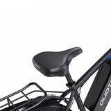 DUOTTS C29L Electric Bike 2x batteries