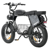 Hidoes B9 Electric Bike, 750W Motor, 48V 18.2Ah+15.6Ah Dual Battery
