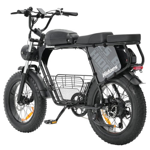 Hidoes B9 Electric Bike, 750W Motor, 48V 18.2Ah+15.6Ah Dual Battery