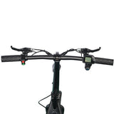 TWOFISH M5 Elite Electric Scooter, 500W Motor, 48V 13Ah