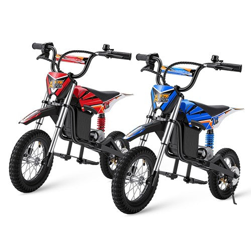 iScooter A12 Kids Electric Dirt Bike 300W