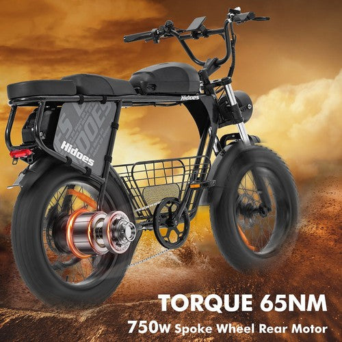 Hidoes B9 Electric Bike, 750W Motor, 48V 18.2Ah+15.6Ah Dual Battery