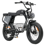 Hidoes B9 Electric Bike, 750W Motor, 48V 18.2Ah+15.6Ah Dual Battery