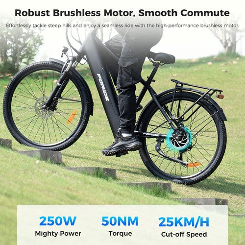 Foride Roamer 1 Step-over Electric Bike, 250W Motor, 36V 13Ah