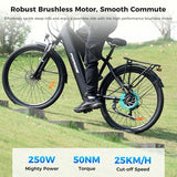 Foride Roamer 1 Step-over Electric Bike, 250W Motor, 36V 13Ah