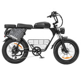 Hidoes B9 Electric Bike, 750W Motor, 48V 18.2Ah+15.6Ah Dual Battery