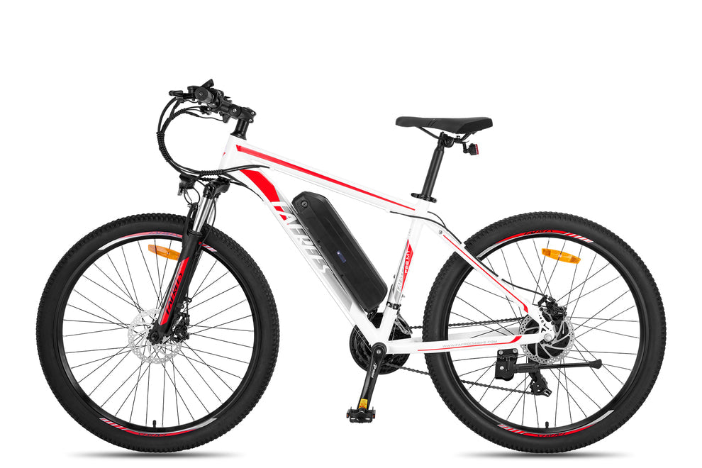 FAFREES F28 MT Electric Bike