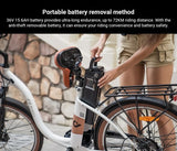 DYU C6 Pro Electric Bike, 250W Motor, 36V 15.6Ah