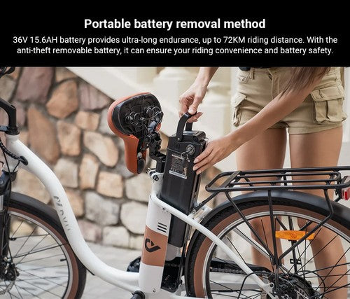 DYU C6 Pro Electric Bike, 250W Motor, 36V 15.6Ah